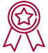 iconos-proyectos-especiales iconos-proyectos-especiales